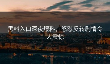 黑料入口深夜爆料，怒怼反转剧情令人震惊