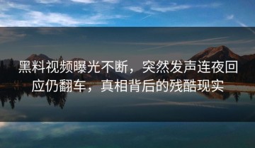黑料视频曝光不断，突然发声连夜回应仍翻车，真相背后的残酷现实