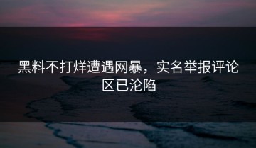 黑料不打烊遭遇网暴，实名举报评论区已沦陷