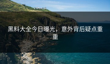 黑料大全今日曝光，意外背后疑点重重