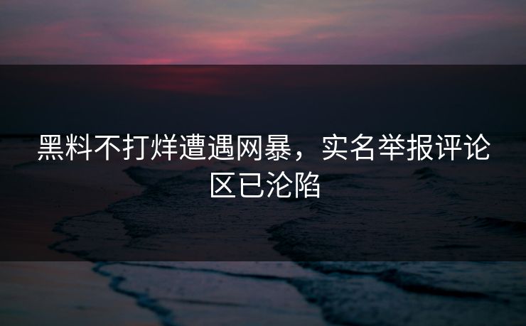 黑料不打烊遭遇网暴，实名举报评论区已沦陷
