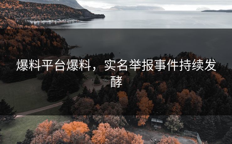 爆料平台爆料，实名举报事件持续发酵