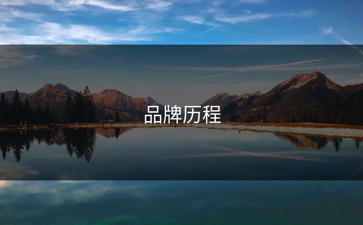 品牌历程 品牌历程